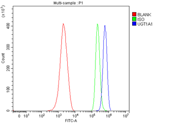 Ugt1a1 Rabbit Polyclonal Antibody