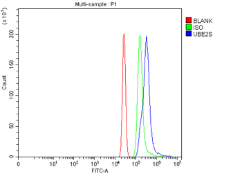 UBE2S Rabbit Polyclonal Antibody