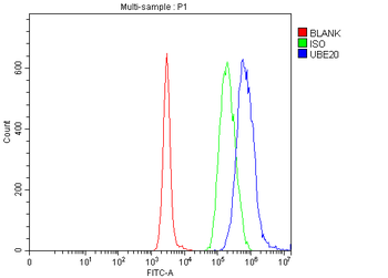 UBE2O Rabbit Polyclonal Antibody