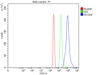 NCOA4 Rabbit Polyclonal Antibody