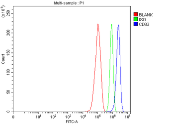 CD83 Rabbit Polyclonal Antibody