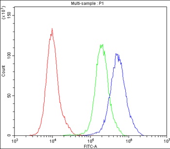 Bcl-2-like protein 2 Bcl2L2 Rabbit Polyclonal Antibody
