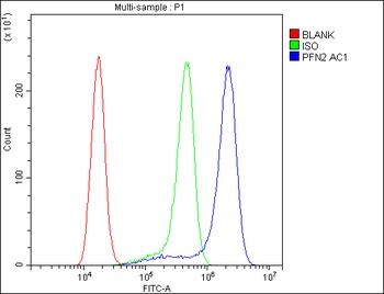 Profilin 2/PFN2 Rabbit Polyclonal Antibody