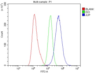 gamma Catenin/JUP Rabbit Polyclonal Antibody
