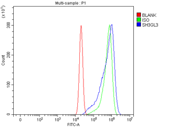 SH3GL3 Rabbit Polyclonal Antibody