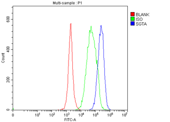 SGTA Rabbit Polyclonal Antibody