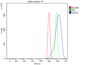 SGCE Rabbit Polyclonal Antibody