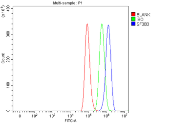 SF3B3 Rabbit Polyclonal Antibody