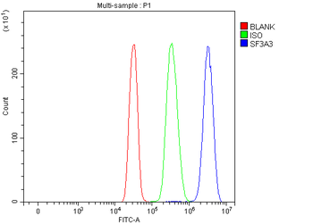 SF3A3 Rabbit Polyclonal Antibody