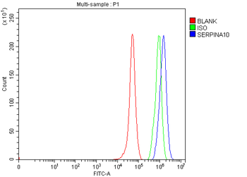 ZPI/SERPINA10 Rabbit Polyclonal Antibody