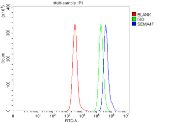SEMA4F Rabbit Polyclonal Antibody