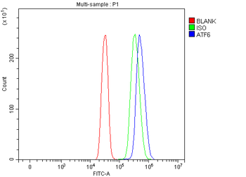 ATF6 Rabbit Polyclonal Antibody