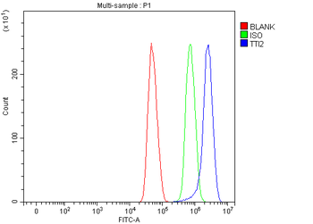 TTI2 Rabbit Polyclonal Antibody
