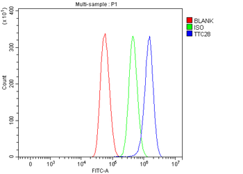 TPRBK/TTC28 Rabbit Polyclonal Antibody