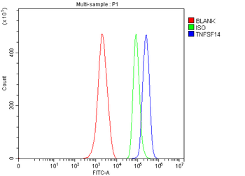 LIGHT/Tnfsf14 Rabbit Polyclonal Antibody