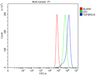 TGF beta Receptor III/TGFBR3 Rabbit Polyclonal Antibody