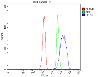 SFPQ Rabbit Polyclonal Antibody