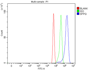 SFPQ Rabbit Polyclonal Antibody