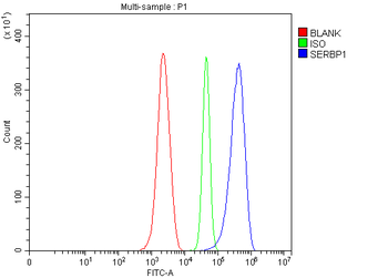 SERBP1 Rabbit Polyclonal Antibody