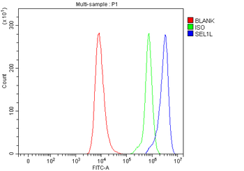 SEL1L Rabbit Polyclonal Antibody