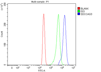 ENTR1 Rabbit Polyclonal Antibody