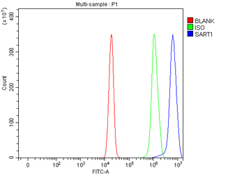SART1 Rabbit Polyclonal Antibody