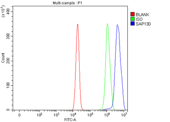 SAP130 Rabbit Polyclonal Antibody