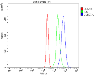 Dectin-1/CLEC7A Rabbit Polyclonal Antibody