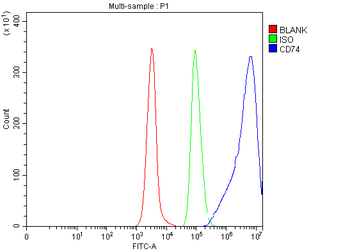 CD74 Rabbit Polyclonal Antibody