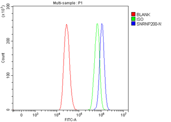 SNRNP200 Rabbit Polyclonal Antibody