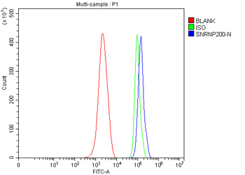 SNRNP200 Rabbit Polyclonal Antibody