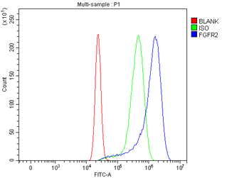 FGFR2 Rabbit Polyclonal Antibody