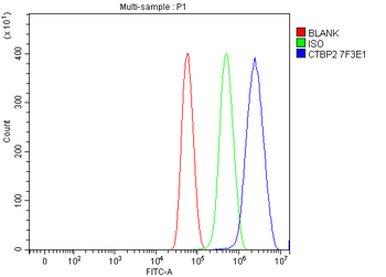 CTBP2 Mouse Monoclonal Antibody