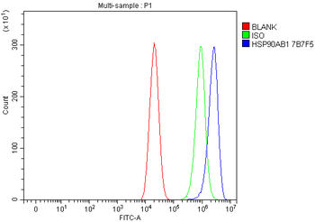 Hsp90 beta/HSP90AB1 Mouse Monoclonal Antibody