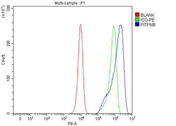 PITPNB Rabbit Polyclonal Antibody