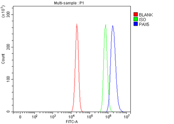 BSAP/PAX5 Rabbit Polyclonal Antibody
