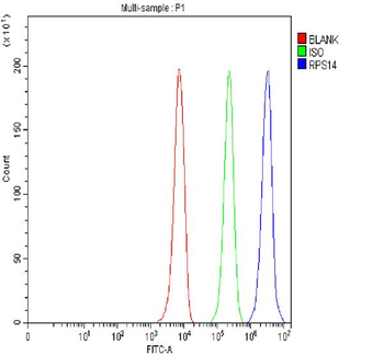 RPS14 Rabbit Polyclonal Antibody