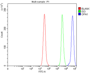 OPA1 Rabbit Polyclonal Antibody