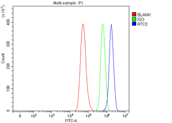 RTCB Rabbit Polyclonal Antibody