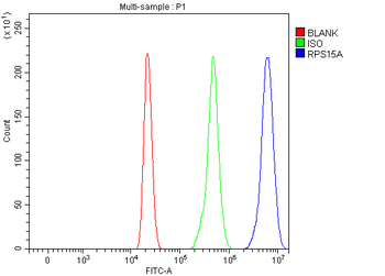 RPS15A Rabbit Polyclonal Antibody