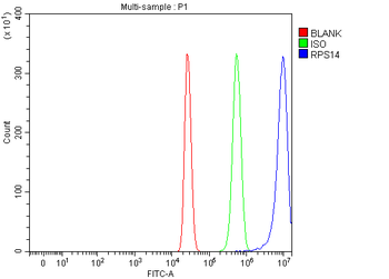 RPS14 Rabbit Polyclonal Antibody