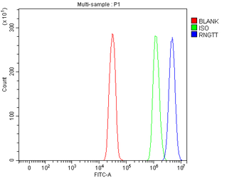 RNGTT Rabbit Polyclonal Antibody
