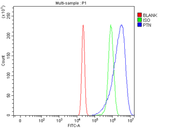 PTN Rabbit Polyclonal Antibody