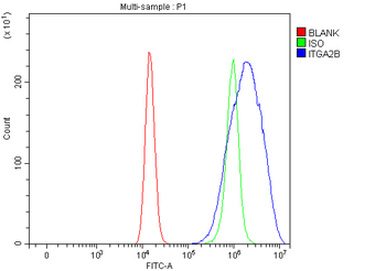 CD41/Integrin Alpha 2B/ITGA2B Rabbit Polyclonal Antibody
