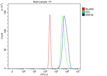 RNF34 Rabbit Polyclonal Antibody