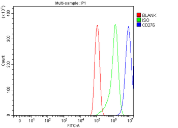 CD276 Rabbit Polyclonal Antibody