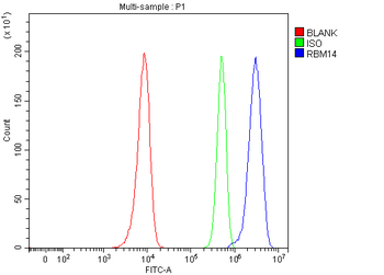 RBM14 Rabbit Polyclonal Antibody