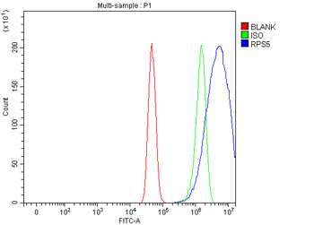 RPS5 Rabbit Polyclonal Antibody