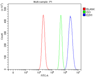 EZH1 Rabbit Polyclonal Antibody