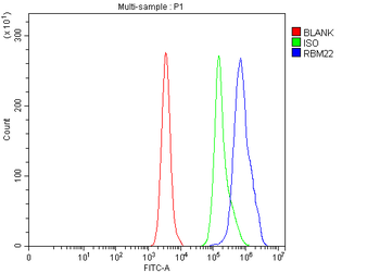 RBM22 Rabbit Polyclonal Antibody
